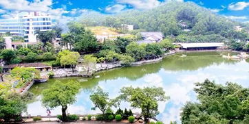 实用建议？都是屁话！