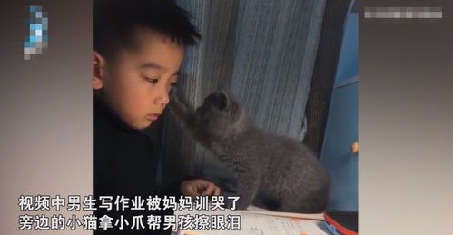 那东西夜晚的怪象