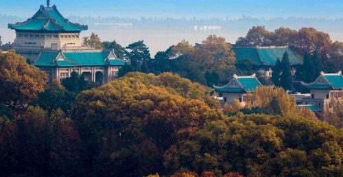 武汉大学：人比花多的恐怖片