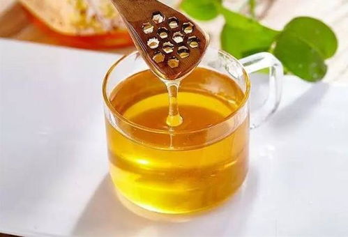 2025年有哪些适合采蜂蜜的吉日？