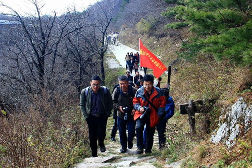 秦岭的史诗：古道的根源