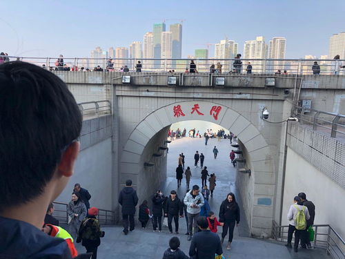 本地人的秘密：我们过年根本不去洪崖洞！