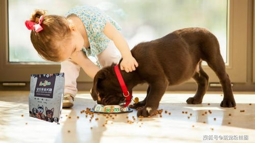 几个例子（可嫩不好）：