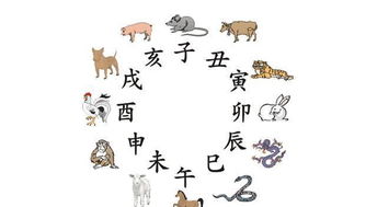 十二生肖中哪些属相代表权贵，哪位生肖地位最高？