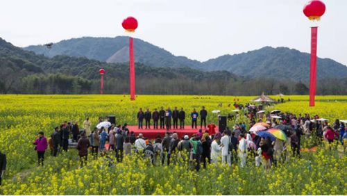 春日里的威海，花开满城