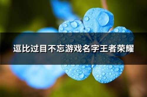 更多推荐：好听的两个字游戏名字大全