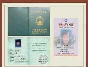 离谱！2026年旅游业竟被叉车支配？