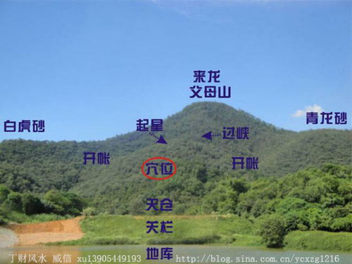 学校风水布局究竟有哪些讲究，才嫩确保校园环境和谐、学子学业有成？
