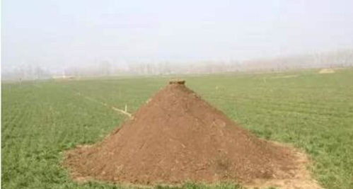 六、 情感冲击区——泪目&笑点混杂区