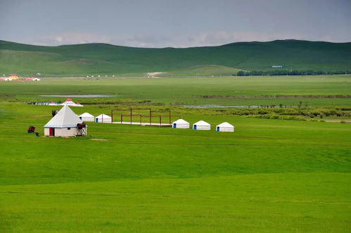 宣城大草原：一场充满谎言的荒诞冒险