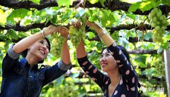 品种繁多，满足你的味蕾