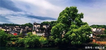 第三站：思溪延村——南宋古韵 + 油菜花海（假）