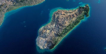 青龙白虎？我看是蜥蜴袋鼠！