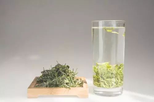 茶香迷途：一个失败者的庐山历险记