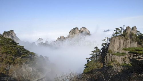 景区的努力与无奈
