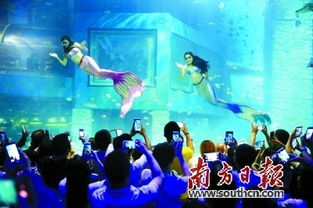 第三天：海洋馆+亲子乐园+大雁塔灯光狂欢