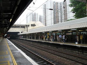 一、飞往香港，快速通关，你准备好了吗？新政策深度解析