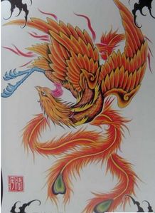 梦见凤凰究竟预示着什么吉祥的征兆或深层的寓意呢？