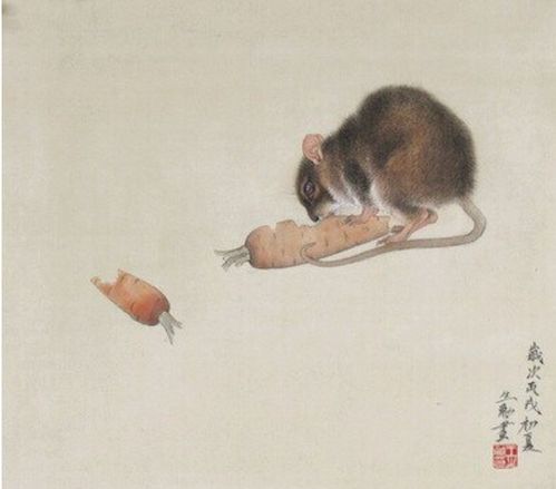 2026年59岁属鼠人的运势如何？今日运势怎样？
