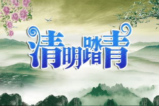 紫白九星瞎折腾