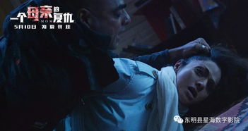 月亮的阴影：农历七月的显现