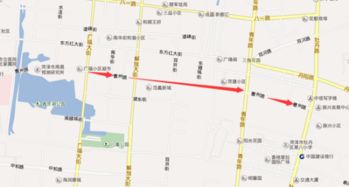 1. 菏泽曹州牡丹园 – 花海中的迷失