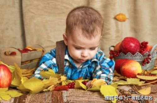 属虎男孩取什么名字最旺，能给虎宝宝男孩带来好运呢？
