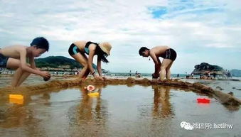 二、秀山岛：亲子互动的乐园？还是泥坑？