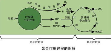 焦虑症状与住宅风水之间是否存在关联？
