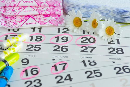 2026年87年属兔女性全年运势具体如何？
