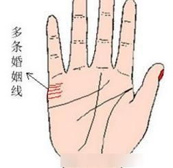 手相中哪些特征预示着苏民峰式的婚姻幸福？