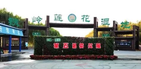 三、 景点体验：从期待到失望的跨度