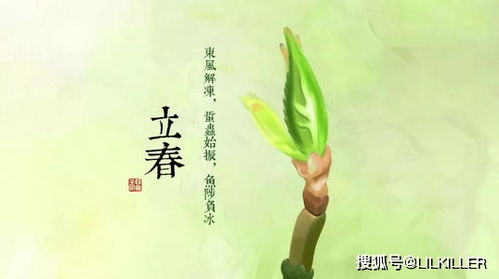 立春与生肖兔的奇妙缘分