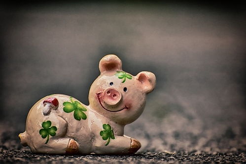 一、 猪性格拆解—让名字跟性格配对