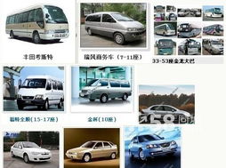 啊！那该死的家庭旅行