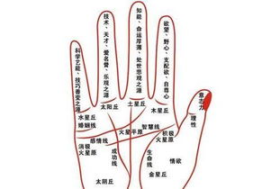 手相三条红线都有锁链，这是否意味着什么？