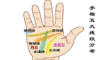 手相天纹断裂，这是否意味着运势会有所改变？