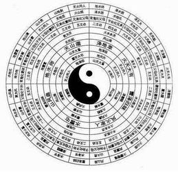 震惊！2026年庚金人必看！寅卯木竟会让人瘸腿？