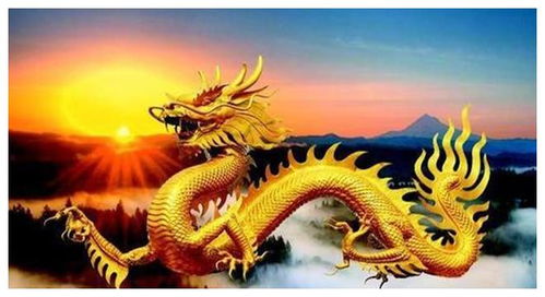 1976年属龙的人是火命还是土命，这火土命究竟有何含义？