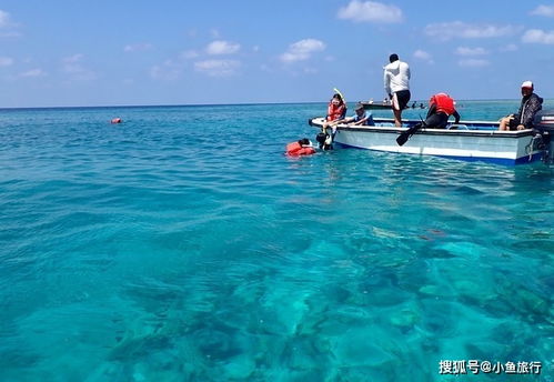 啊呀！那次乱七八糟的公主邮轮大冒险