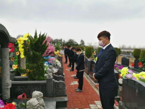 塔山墓地,塔山公墓可yi扫墓吗