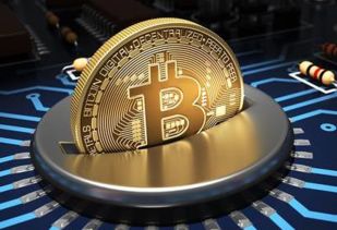 公司地址与投诉举报：现实与虚幻的交错