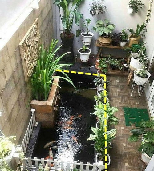 院子挖鱼塘风水禁忌,鱼塘风水禁忌有几个好