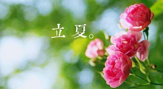 千年立夏风俗，南通传承爆款秘籍