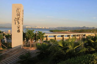 2. 深圳湾公园：海岸线上的浪漫之旅
