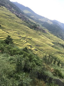 4. 龙脊梯田：层层叠叠的美丽画卷