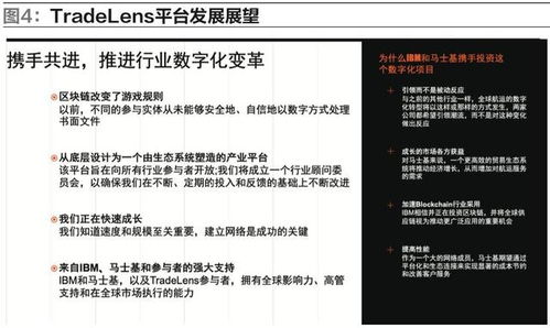 王嘉源名字打分技巧与案例分析