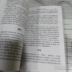命名指南：先别急着选，先想想这事儿到底啥意思！
