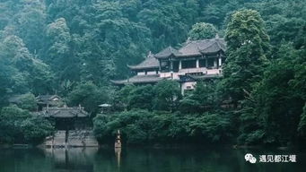 再见青城后山，下次还要再来！