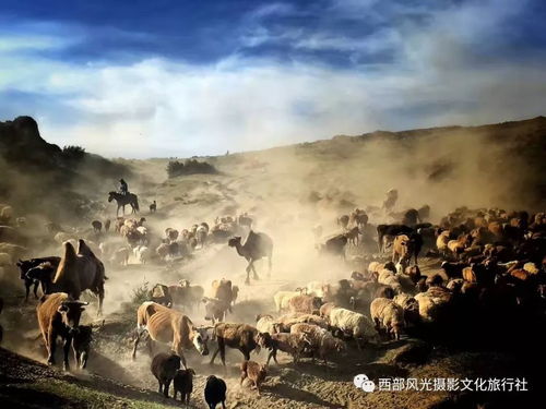 为什么选择格鲁吉亚？